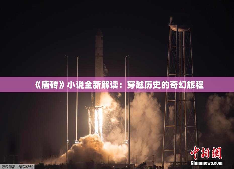 《唐砖》小说全新解读：穿越历史的奇幻旅程