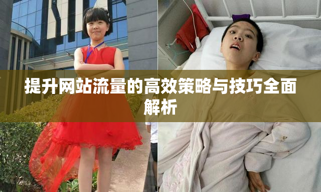 提升网站流量的高效策略与技巧全面解析