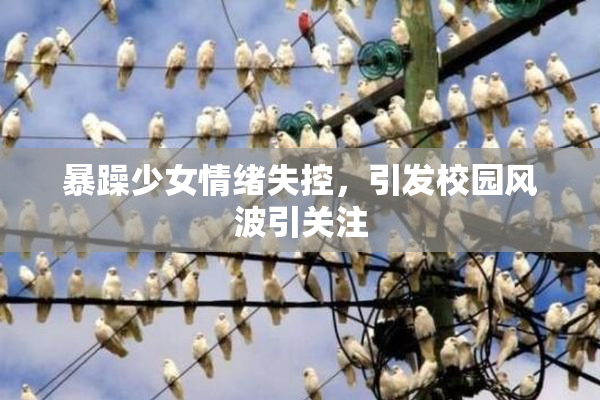 暴躁少女情绪失控，引发校园风波引关注