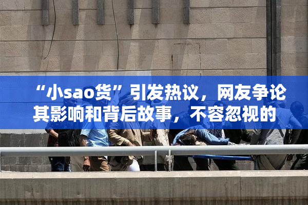 “小sao货”引发热议，网友争论其影响和背后故事，不容忽视的文化现象。