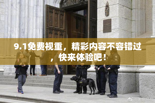 9.1免费视重，精彩内容不容错过，快来体验吧！