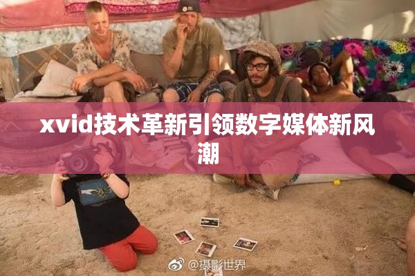 xvid技术革新引领数字媒体新风潮