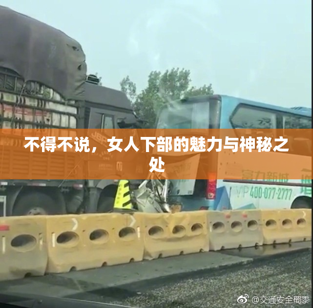 不得不说，女人下部的魅力与神秘之处