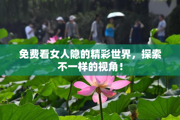 免费看女人隐的精彩世界，探索不一样的视角！