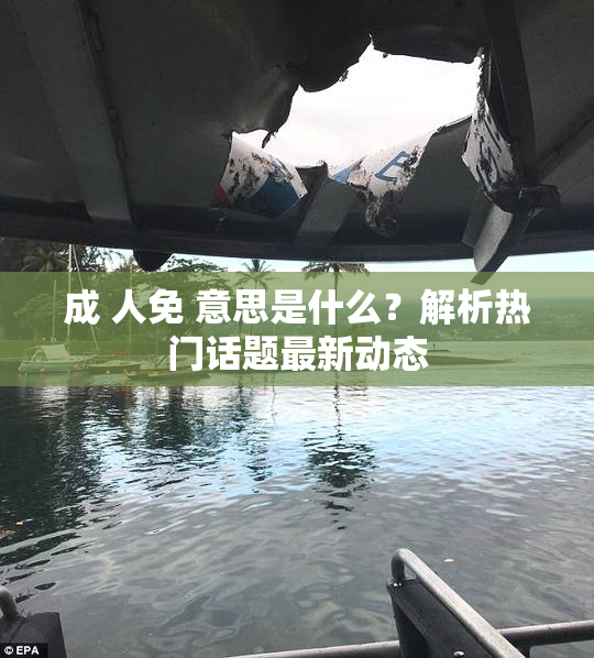 成 人免 意思是什么？解析热门话题最新动态