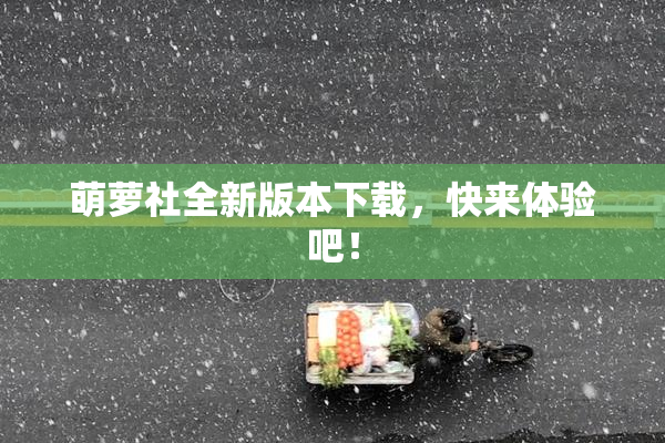 萌萝社全新版本下载，快来体验吧！