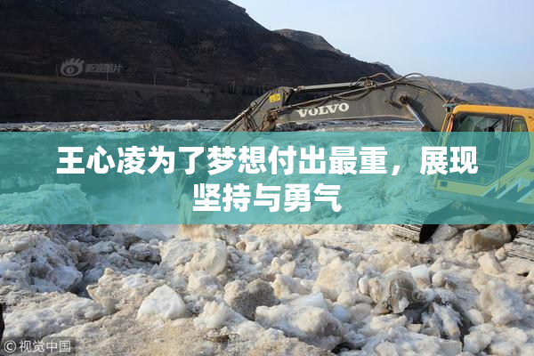 王心凌为了梦想付出最重，展现坚持与勇气