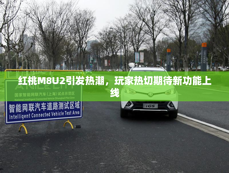 红桃M8U2引发热潮，玩家热切期待新功能上线