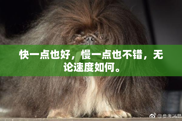 快一点也好，慢一点也不错，无论速度如何。