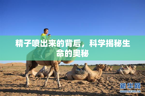 精子喷出来的背后，科学揭秘生命的奥秘