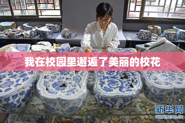我在校园里邂逅了美丽的校花
