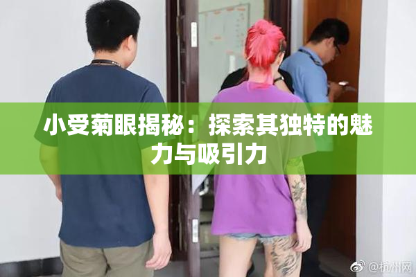 小受菊眼揭秘：探索其独特的魅力与吸引力