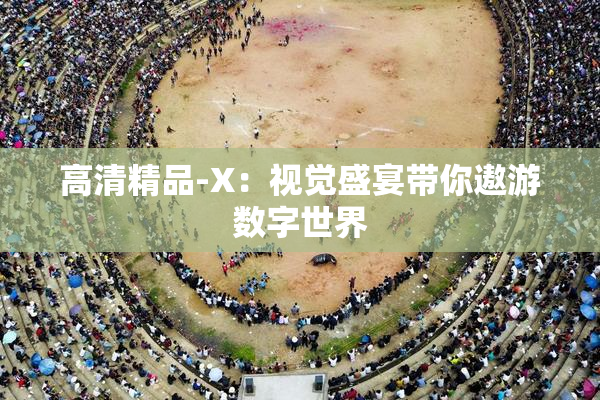高清精品-X：视觉盛宴带你遨游数字世界