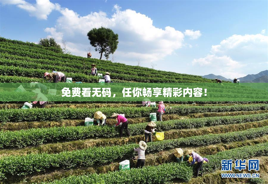 免费看无码，任你畅享精彩内容！