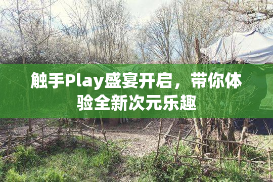 触手Play盛宴开启，带你体验全新次元乐趣
