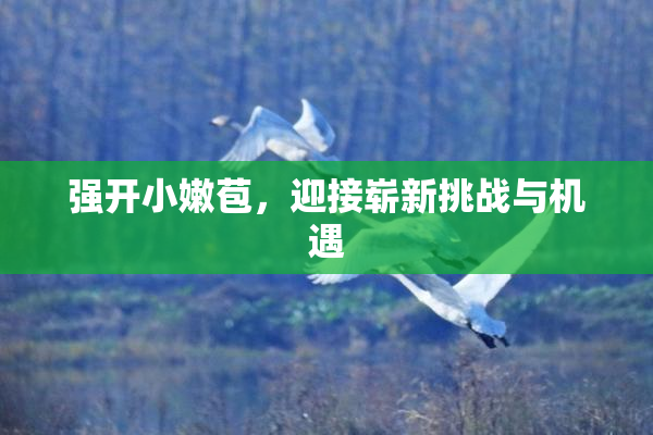 强开小嫩苞，迎接崭新挑战与机遇