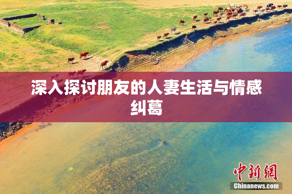 深入探讨朋友的人妻生活与情感纠葛