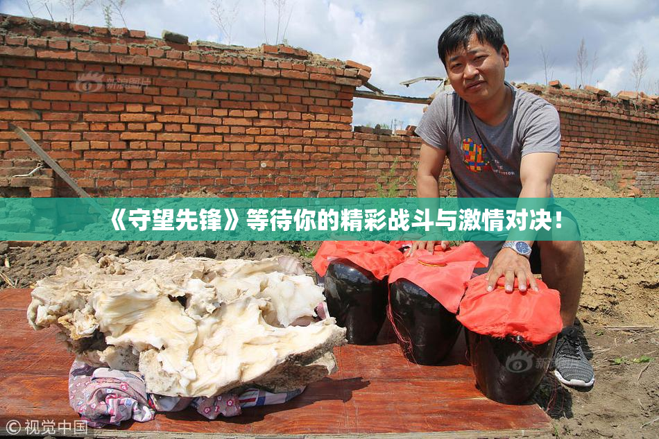 《守望先锋》等待你的精彩战斗与激情对决！