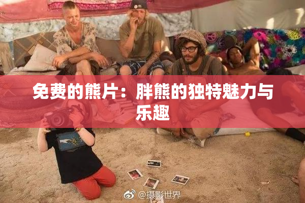 免费的熊片：胖熊的独特魅力与乐趣