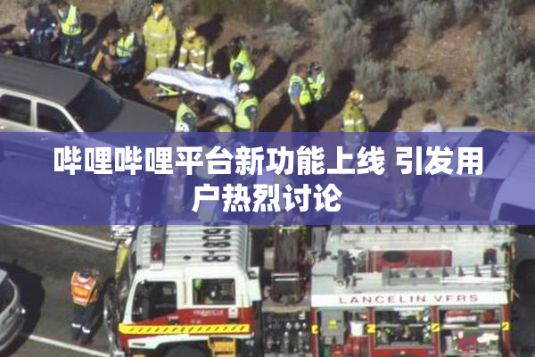 哔哩哔哩平台新功能上线 引发用户热烈讨论
