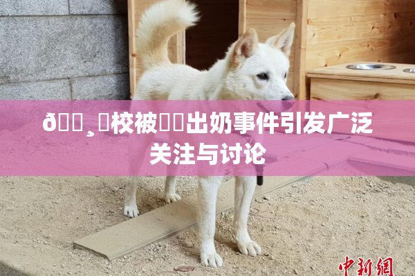 🌸‌校被❌‌出奶事件引发广泛关注与讨论
