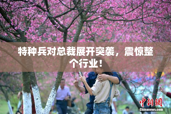 特种兵对总裁展开突袭，震惊整个行业！