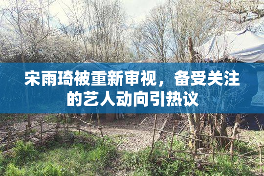 宋雨琦被重新审视，备受关注的艺人动向引热议