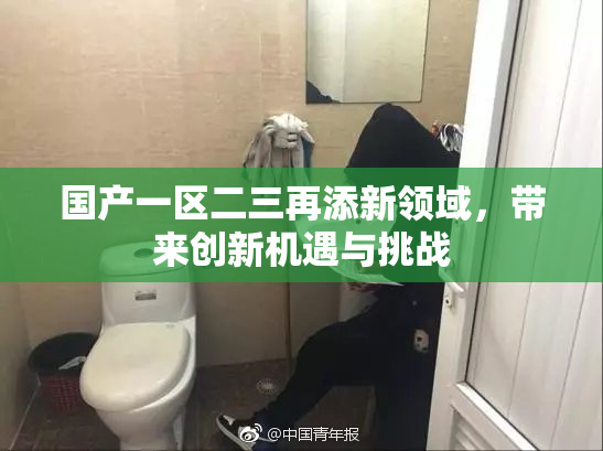 国产一区二三再添新领域，带来创新机遇与挑战