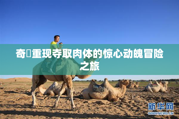 奇犽重现夺取肉体的惊心动魄冒险之旅