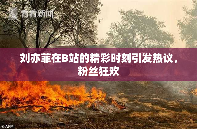 刘亦菲在B站的精彩时刻引发热议，粉丝狂欢