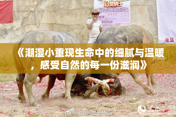 《潮湿小重现生命中的细腻与温暖，感受自然的每一份滋润》