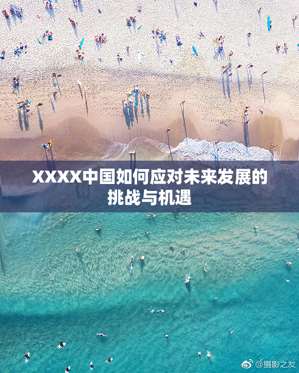 XXXX中国如何应对未来发展的挑战与机遇