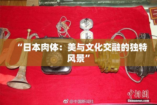 “日本肉体：美与文化交融的独特风景”