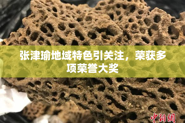 张津瑜地域特色引关注，荣获多项荣誉大奖