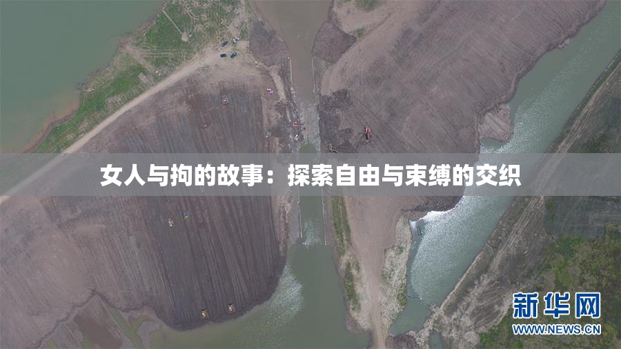 女人与拘的故事：探索自由与束缚的交织