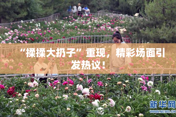 “揉揉大扔子”重现，精彩场面引发热议！
