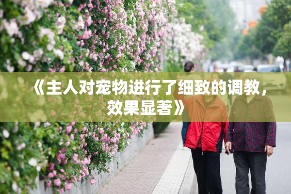 《主人对宠物进行了细致的调教，效果显著》