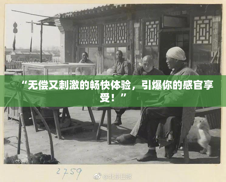 “无偿又刺激的畅快体验，引爆你的感官享受！”
