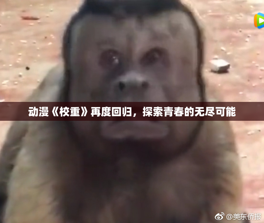 动漫《校重》再度回归，探索青春的无尽可能