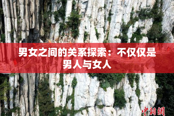 男女之间的关系探索：不仅仅是男人与女人