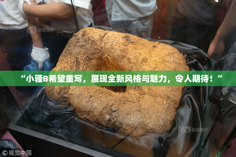 “小骚B希望重写，展现全新风格与魅力，令人期待！”