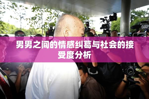 男男之间的情感纠葛与社会的接受度分析