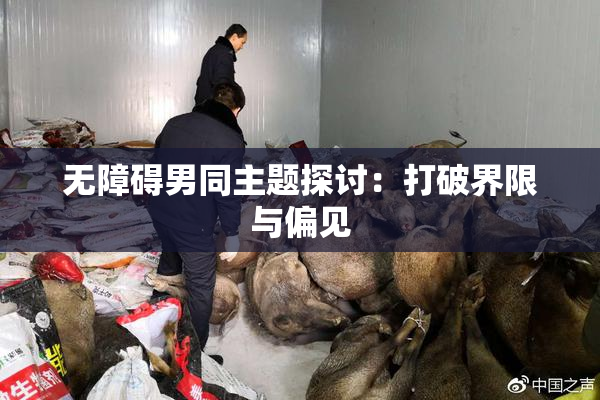 无障碍男同主题探讨：打破界限与偏见