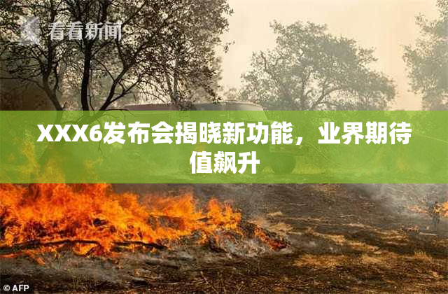 XXX6发布会揭晓新功能，业界期待值飙升