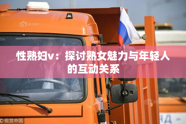 性熟妇v：探讨熟女魅力与年轻人的互动关系