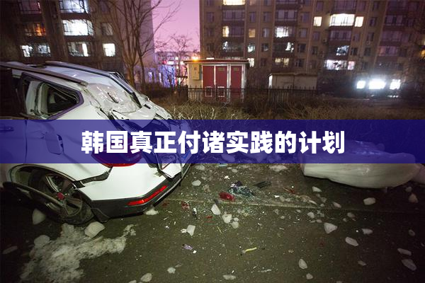 韩国真正付诸实践的计划