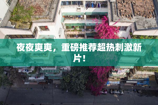 夜夜爽爽，重磅推荐超热刺激新片！