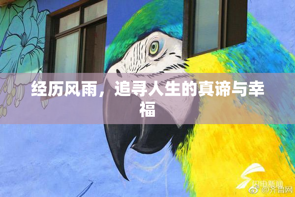 经历风雨，追寻人生的真谛与幸福