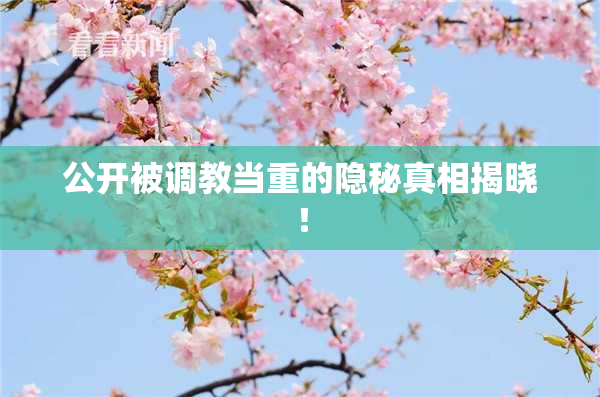 公开被调教当重的隐秘真相揭晓！