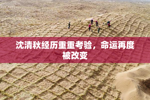 沈清秋经历重重考验，命运再度被改变